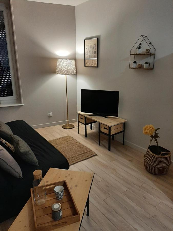 Louhans Les Petites Arcades Avec Ses Deux Appartements Cote Arcades Et Cote Cour ภายนอก รูปภาพ